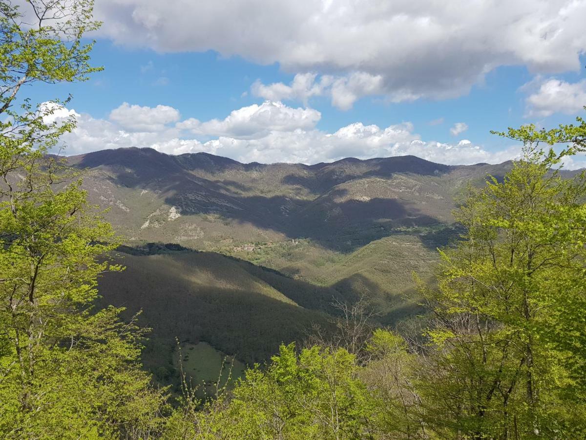 Alla Battuta Сансеполкро Екстериор снимка